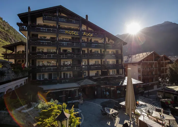 Alex Alpine - & Sports צרמט