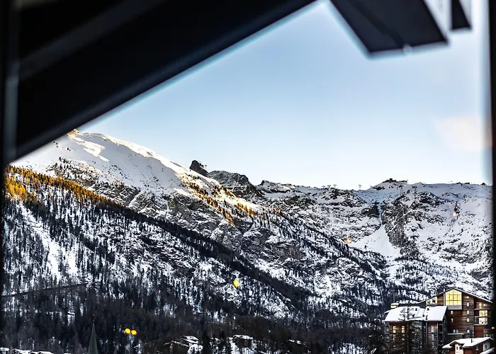 Alex Alpine - & Sports